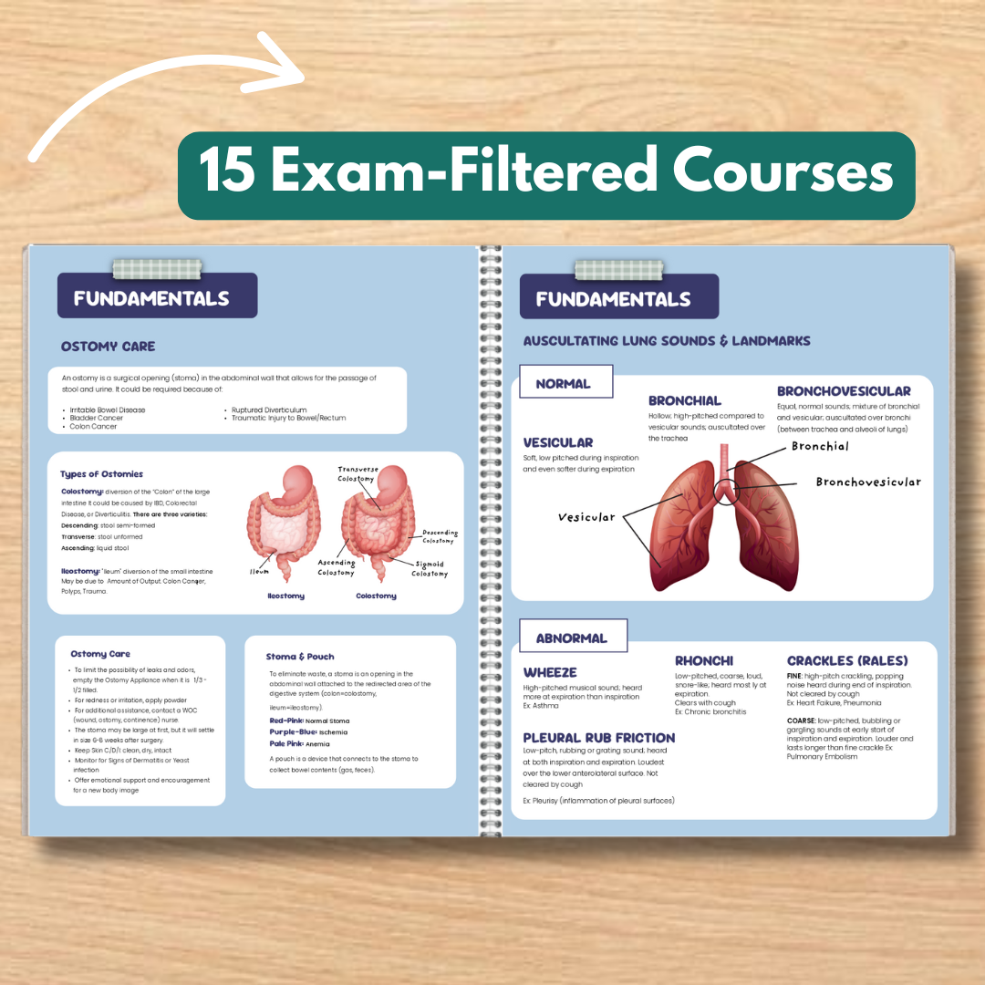 The Complete NurseSzn Kit (2026 Edition)